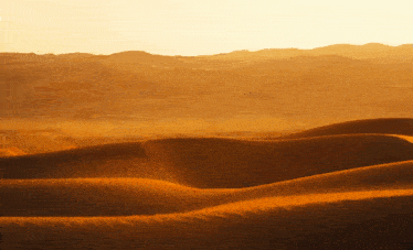 Dune Dune Part 2 GIF - Dune Dune Part 2 Stilgar Riding Sandworm GIFs
