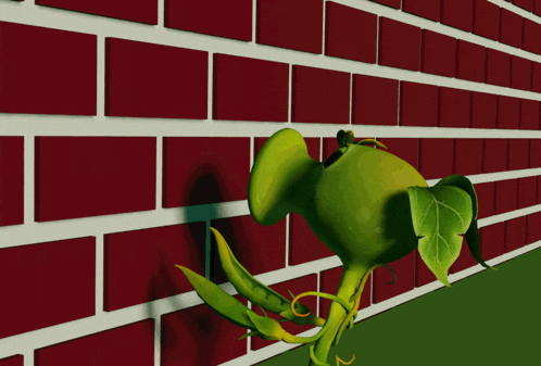 a green plant is growing against a brick wall