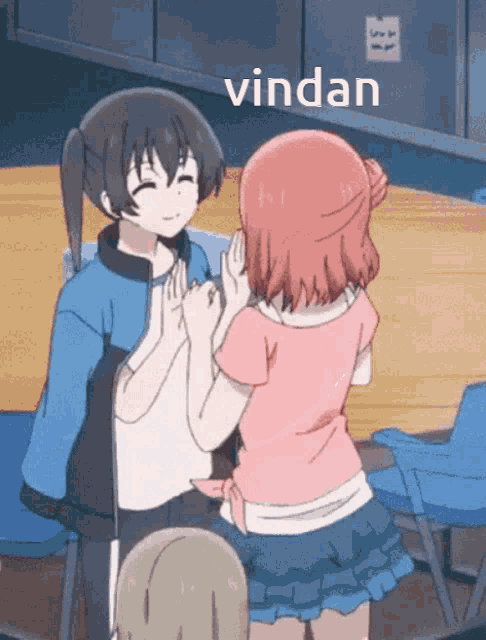 a couple of anime girls standing next to each other with the word vindan written on the bottom