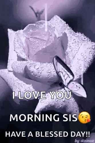 a purple rose with a butterfly on it and the words `` i love you morning sis have a blessed day ! ''