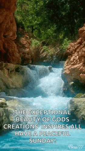 Waterfall The Exceptional GIF - Waterfall The Exceptional Beauty Of Gods GIFs