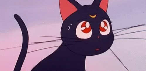 Sailormoon Luna GIF - Sailormoon Luna Cat GIFs
