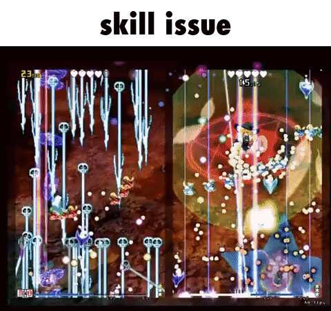 Skill Issue Touhou GIF - Skill Issue Touhou Touhou 19 GIFs