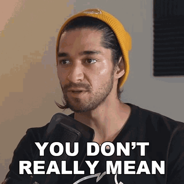 You Dont Really Mean What Youre Saying Wil Dasovich GIF
