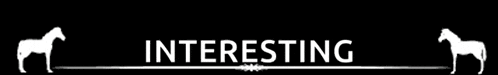 a black background with the word interesting in white
