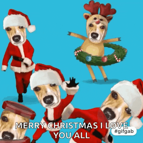 a group of dogs wearing santa hats and reindeer costumes are dancing and saying merry christmas i love you all