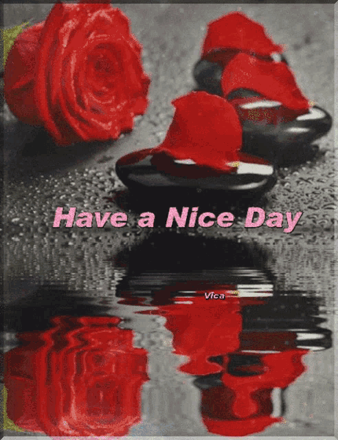 a have a nice day greeting card with red roses