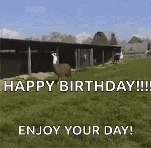 a happy birthday greeting card with a llama jumping in a field .