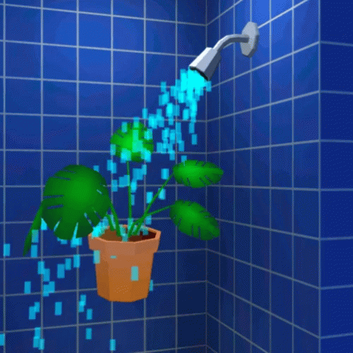 Plant Houseplant GIF - Plant Houseplant Shower GIFs