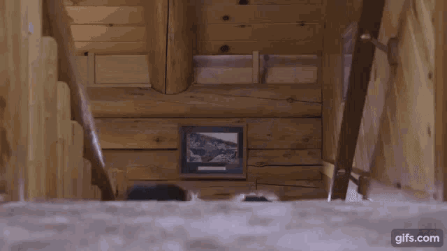 a group of people are looking down a set of stairs with a gifs.com icon in the corner