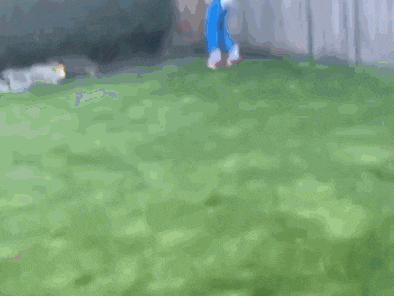 a blurred image of a person in a blue jacket standing in the grass