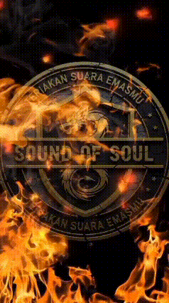 a logo that says sound of soul on it