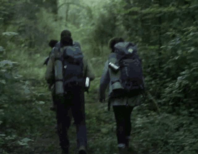 Into The Woods No Entry GIF - Into The Woods No Entry Trail GIFs