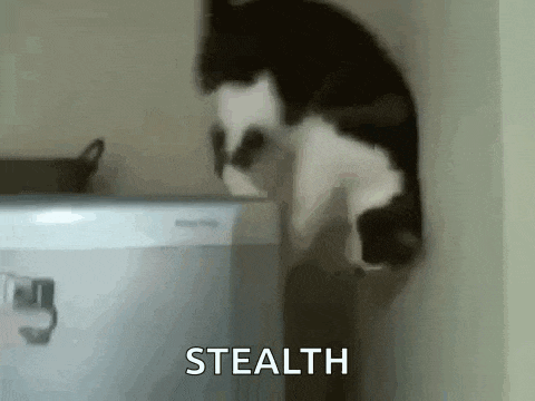 a black and white cat is standing on its hind legs next to a dishwasher and the word stealth is visible .