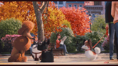 a poodle and two dogs are walking in a park while a woman sits on a bench reading a book .