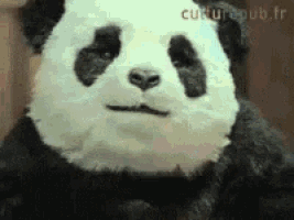 a stuffed panda bear has a serious look on his face