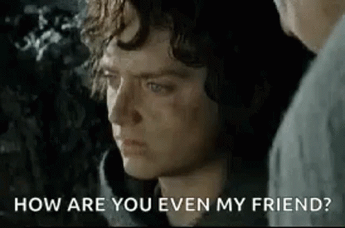 Lord Of The Rings Frodo GIF - Lord Of The Rings Frodo Friend GIFs
