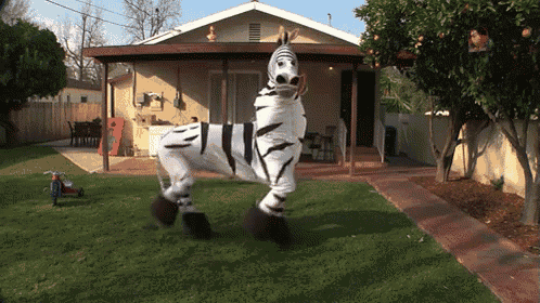 a person dressed in a zebra costume is walking in front of a house