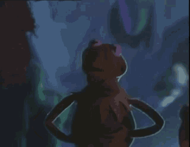 kermit the frog from the muppet show is standing in the dark .