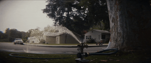 a tree is being sprayed with water from a sprinkler