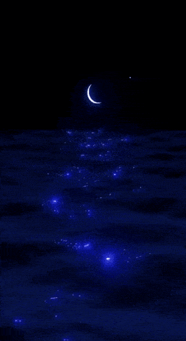 a crescent moon is rising over the ocean at night