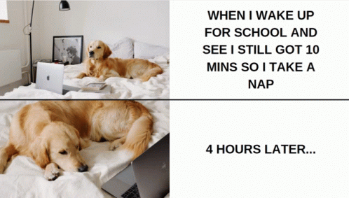 School Sleep GIF - School Sleep Nap GIFs