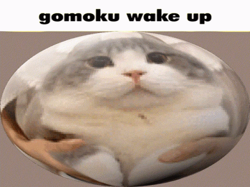 Gomoku Wake Up GIF - Gomoku Wake Up Gomoku Wakeup GIFs