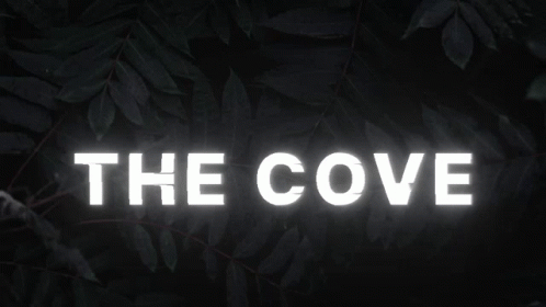 The Cove GIF - The Cove GIFs