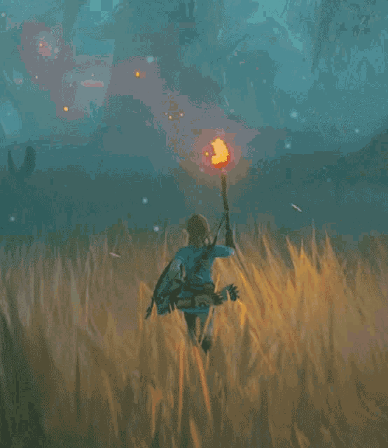 Breath Of The Wild Link GIF - Breath Of The Wild Link Zelda Game GIFs