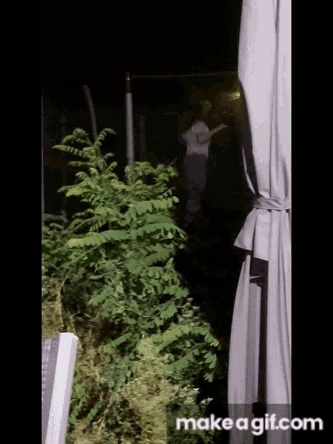 a make a gif.com screenshot of a person standing in a garden at night