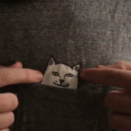 Cat Puch GIF - Cat Puch Dirty Finger GIFs