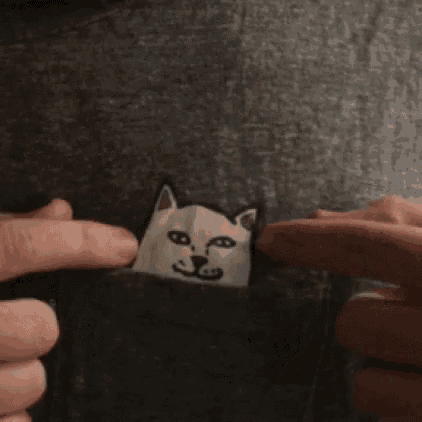 a person is holding a grey shirt with a cat on it