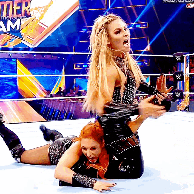 Natalya Disarm Her GIF - Natalya Disarm Her Becky Lynch GIFs