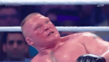 Brock Lesnar Motherfucker GIF - Brock Lesnar Motherfucker GIFs