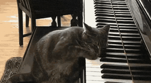a cat is laying on top of a piano playing it .