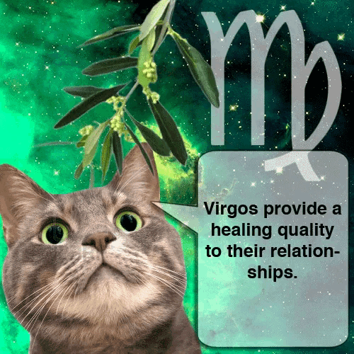 a cat with a speech bubble that says virgos provide a healing quality to their relation ships