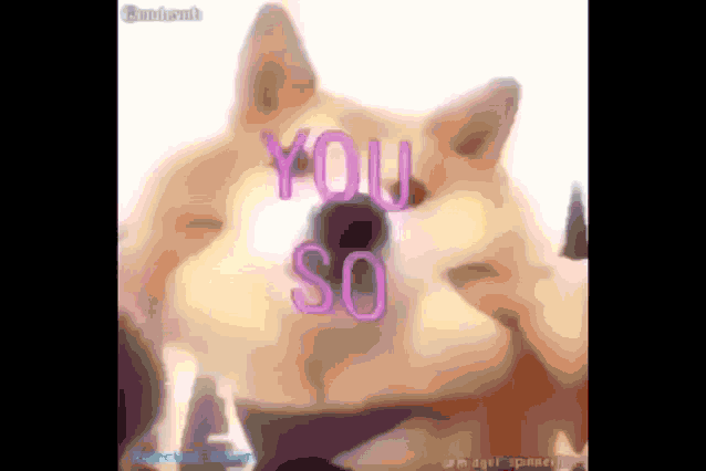 a dog with the words you so written on it