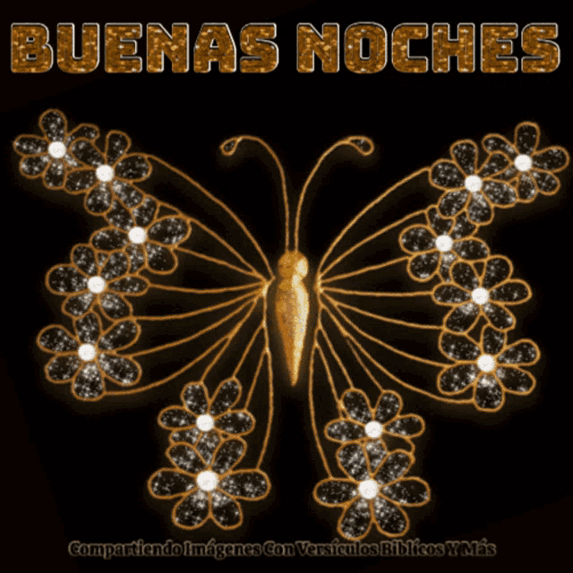 a picture of a butterfly with the words buenas noches on it