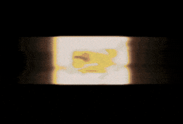 a cartoon lizard is surrounded by fire