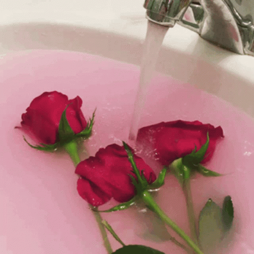 Roses Water GIF - Roses Water Flower GIFs