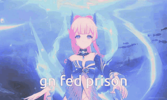 a picture of a girl with the words " gn fed prison " on it