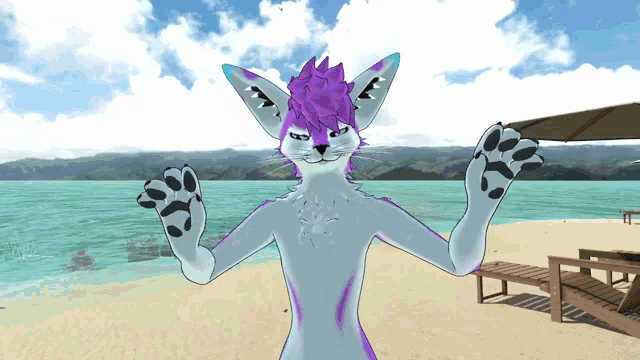 a cat with purple hair is standing on a beach with its paws outstretched