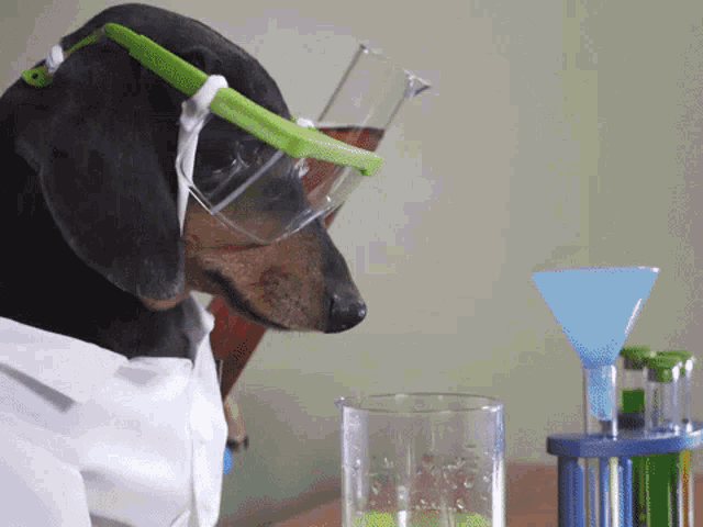 Oakley Sciencedog GIF - Oakley Sciencedog Oakleyscience GIFs