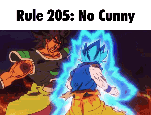 a cartoon of a man fighting another man with the words rule 205 : no cunny on the bottom