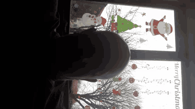 a window with christmas decorations and the words merry christmas written on it