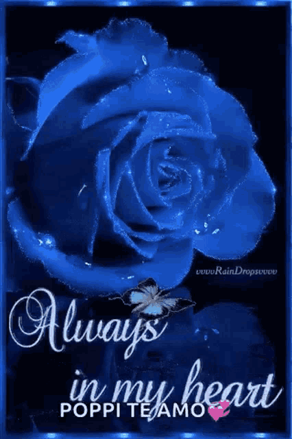 a blue rose with the words always in my heart