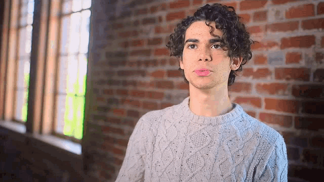 a young man with curly hair wearing a grey sweater is standing in front of a brick wall