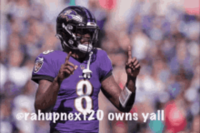 Ravens Baltimore GIF