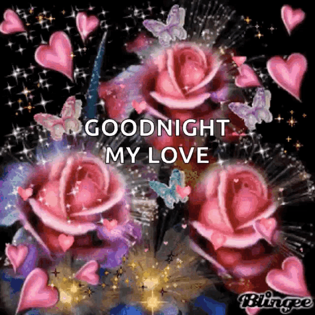 a picture of roses and butterflies with the words `` goodnight my love '' written on it .