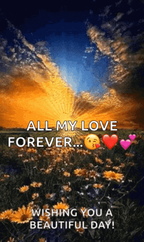 all my love forever wishing you a beautiful day